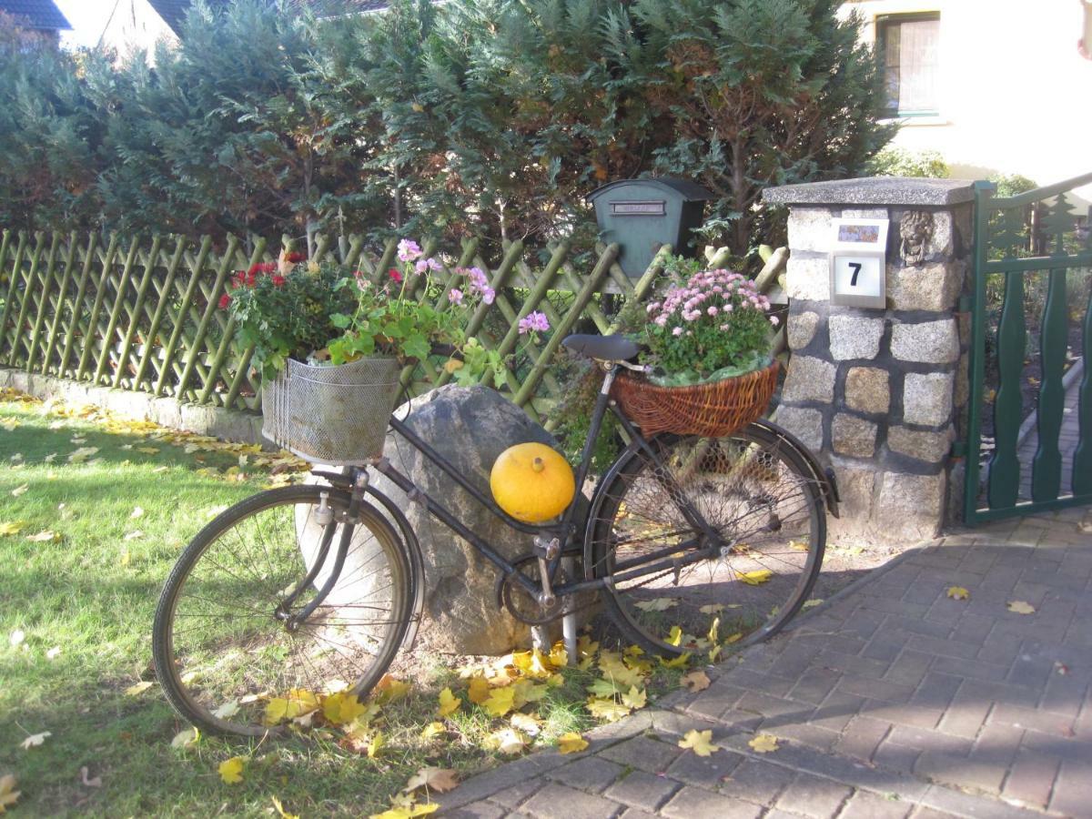 Pension Zum Weissen Hirsch Reitwein Εξωτερικό φωτογραφία