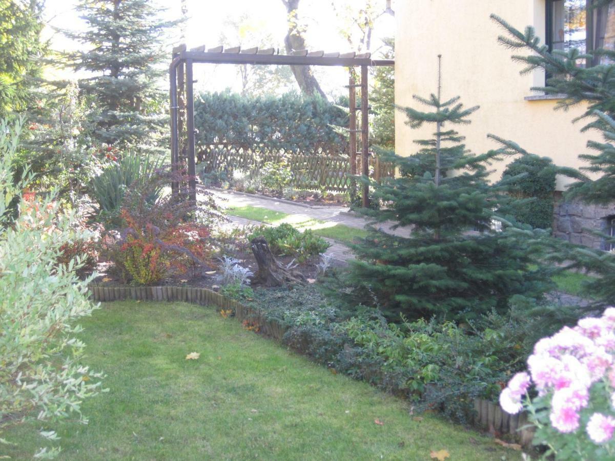 Pension Zum Weissen Hirsch Reitwein Εξωτερικό φωτογραφία