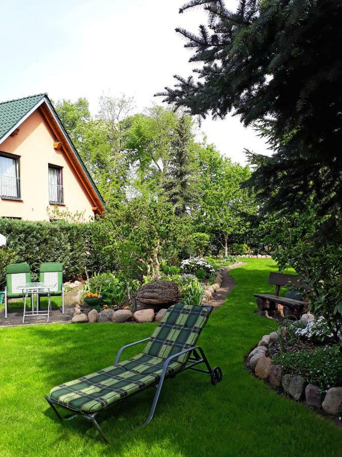 Pension Zum Weissen Hirsch Reitwein Εξωτερικό φωτογραφία