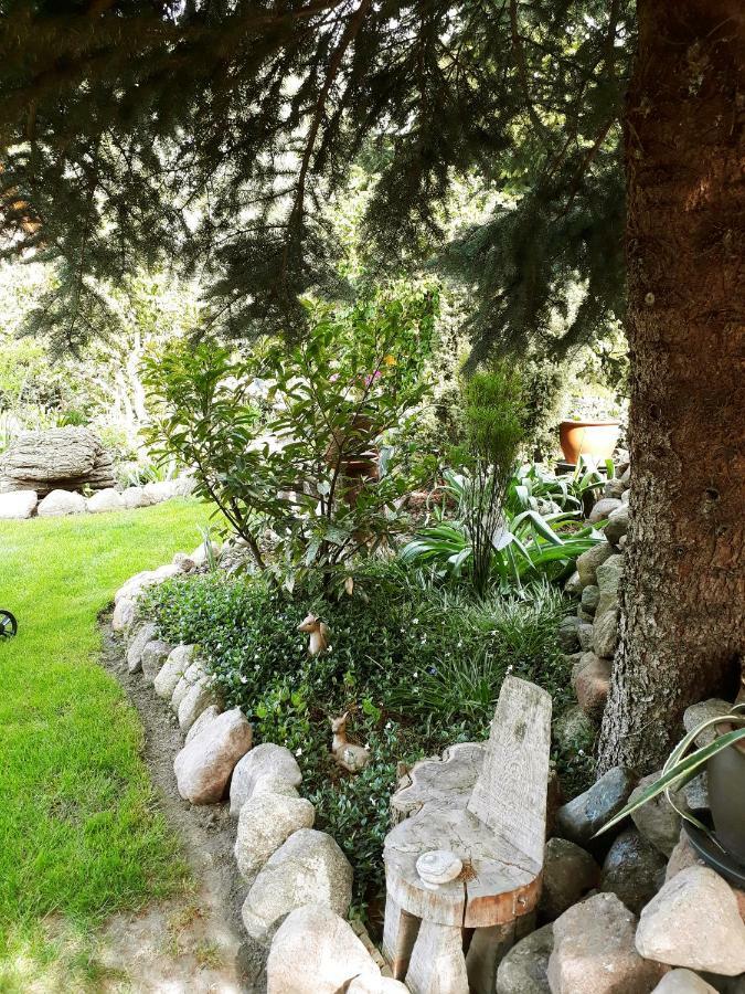 Pension Zum Weissen Hirsch Reitwein Εξωτερικό φωτογραφία